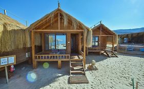 Paradise Sweir